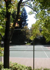Tennis Court_vertical-2